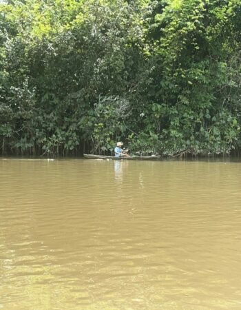 Fotografare e amare A floresta!