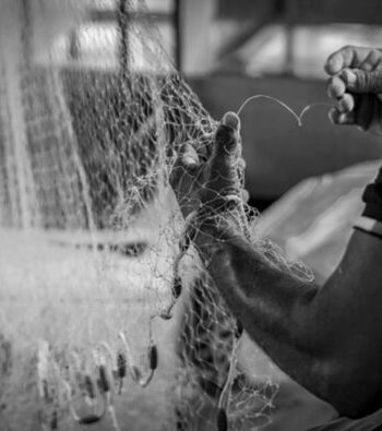 “Dalla quercia alla foresta”, una mostra racconta il popolo del fiume