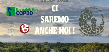 UNA PAGINA NUOVA DOPO LA COP30